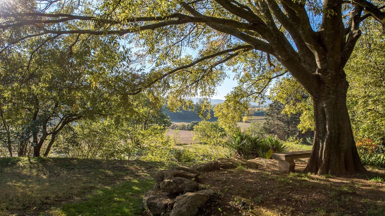 Photo of Outdoor in Puyvert