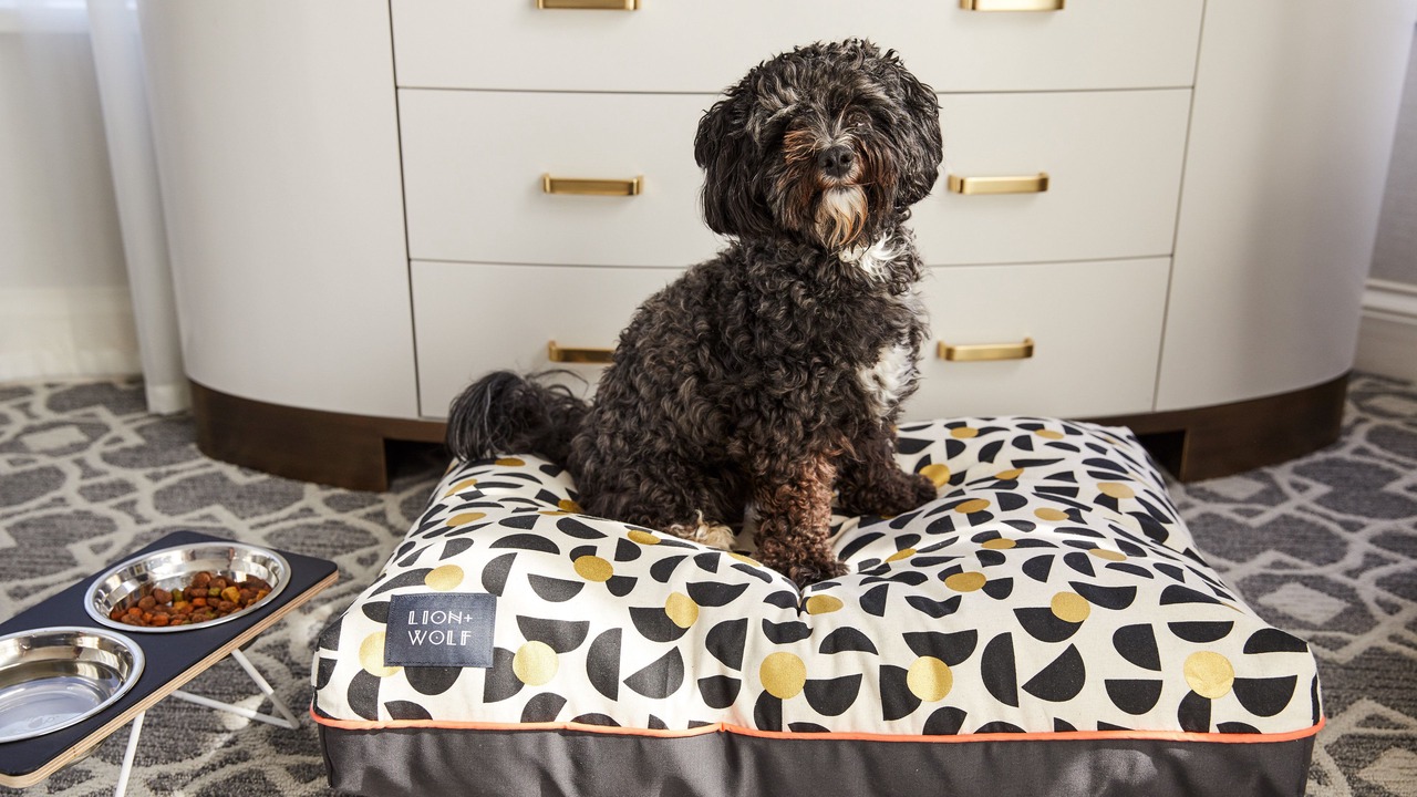 Photo of Others in Beacon Hill