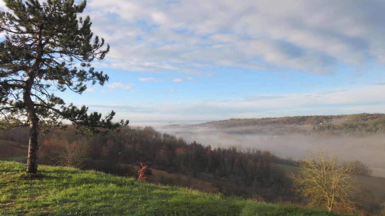 Photo of Outdoor in Moissac
