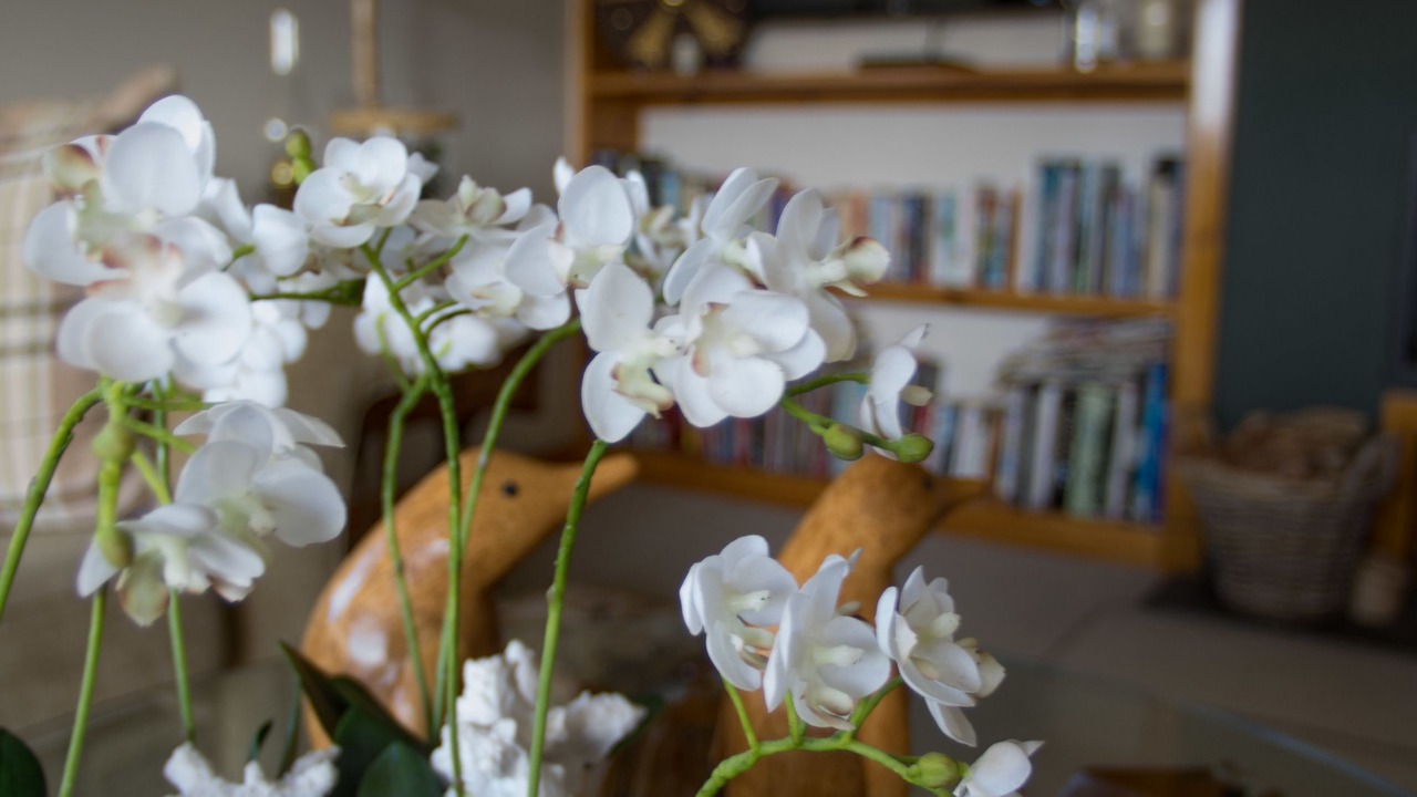 Photo of Others in Lochinver