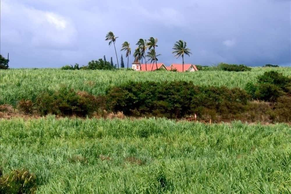 Photo of Others in Poipu