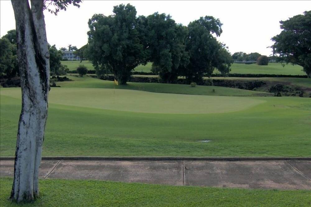 Photo of Others in Poipu