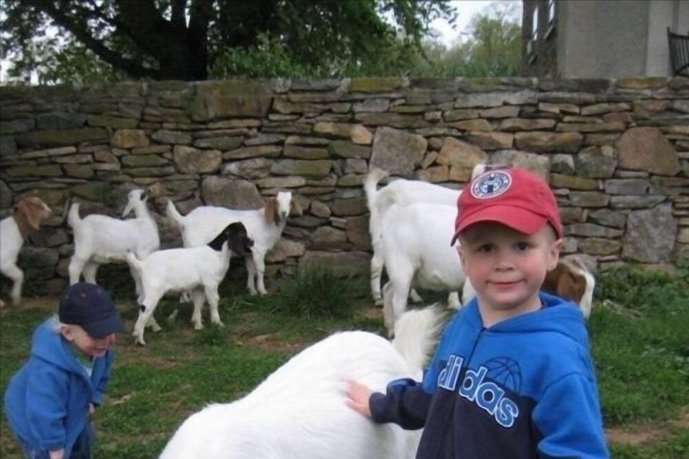 Photo of Others in Narvon