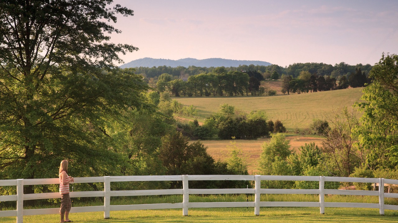 Photo of Others in Locust Dale