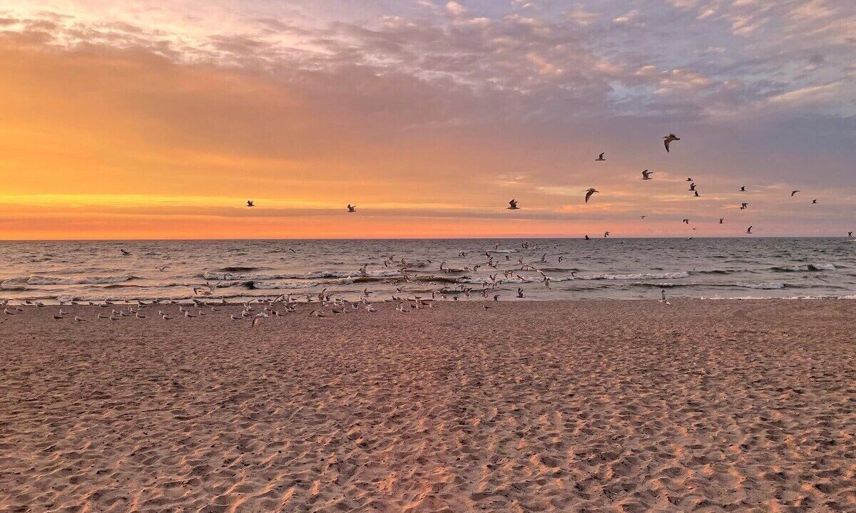 Photo of Others in Sodus Point