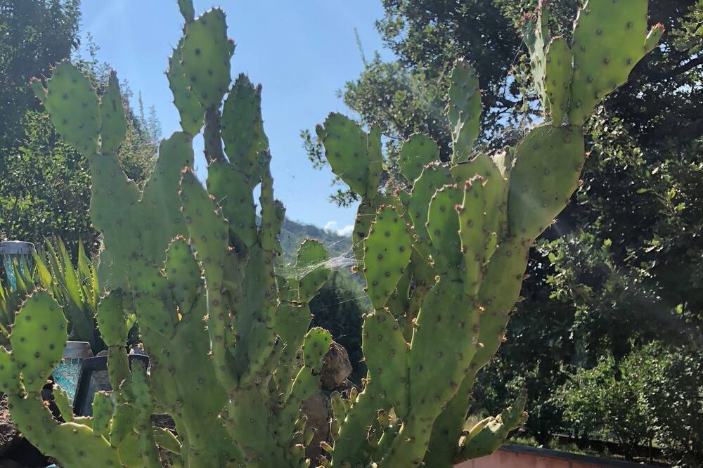 Photo of Outdoor in Collobrieres
