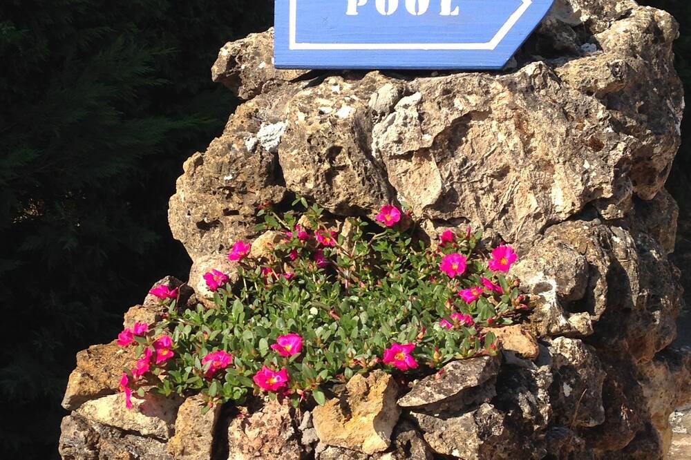 Photo of Others in Collobrieres