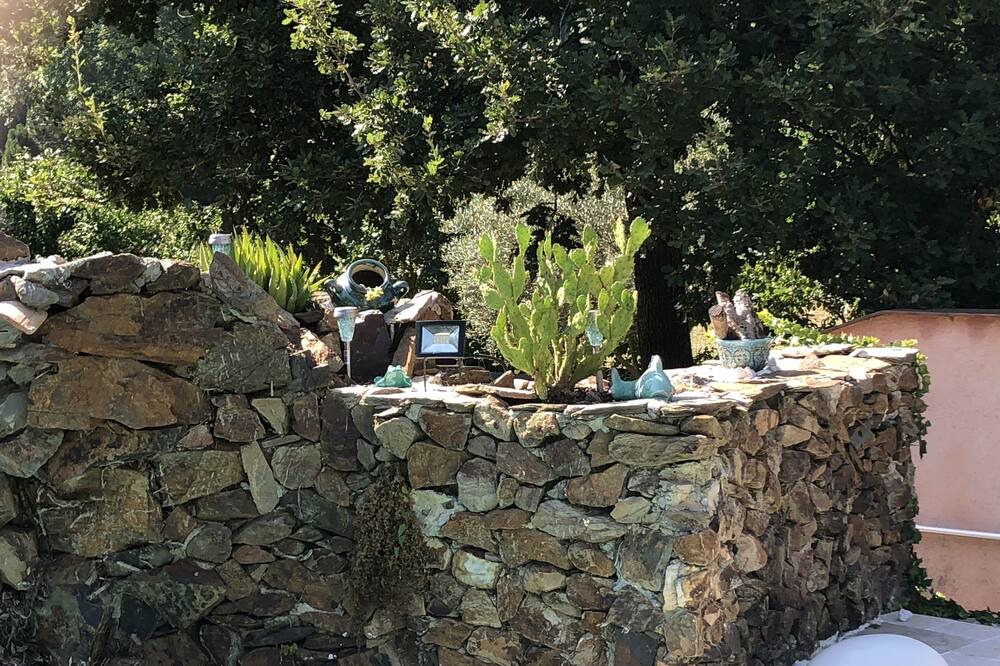 Photo of Outdoor in Collobrieres