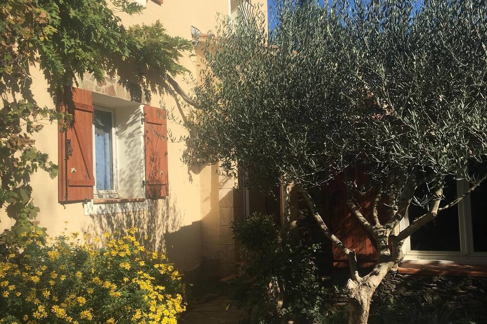 Photo of Outdoor in Collobrieres