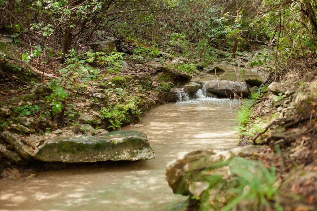 Photo of Outdoor in Apache Shores