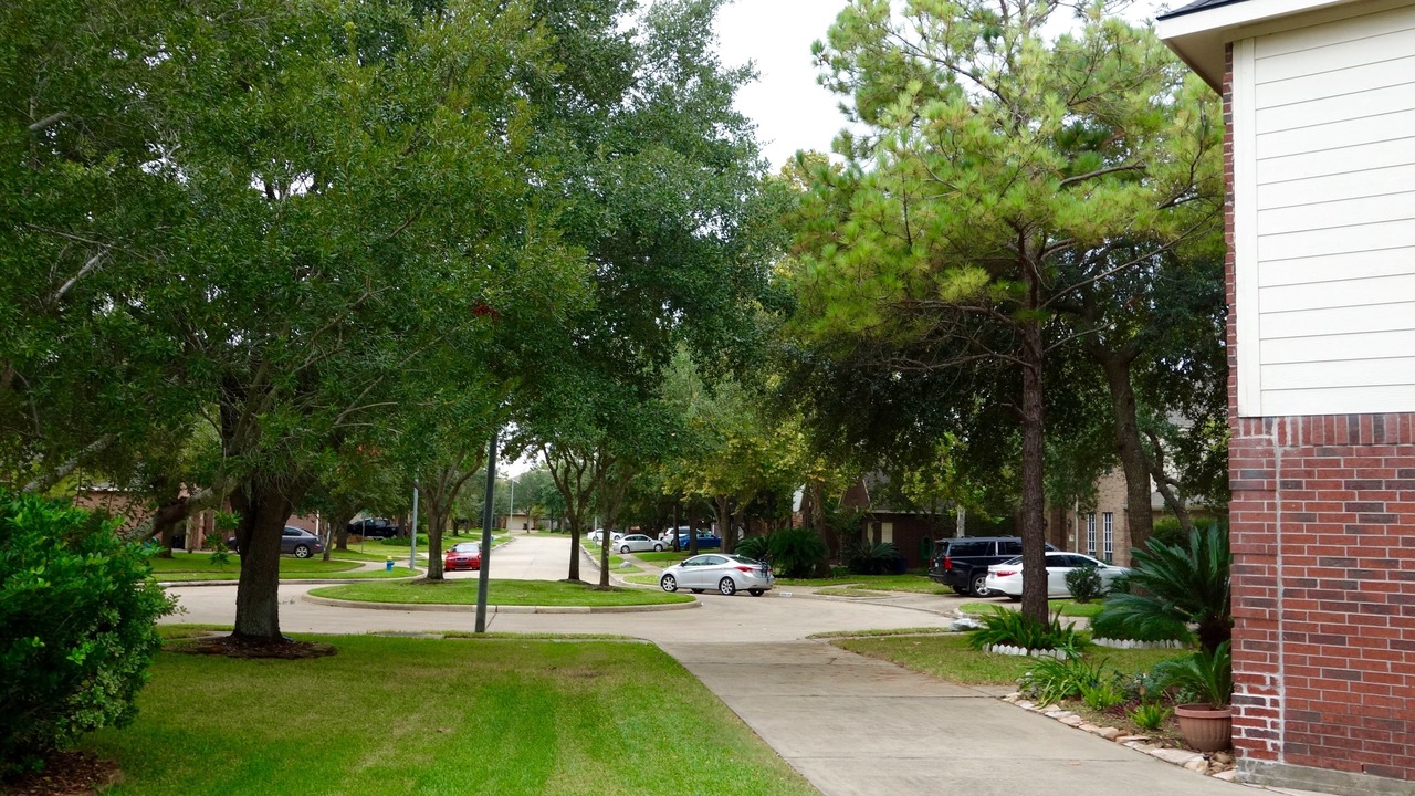 Photo of Outdoor in Katy