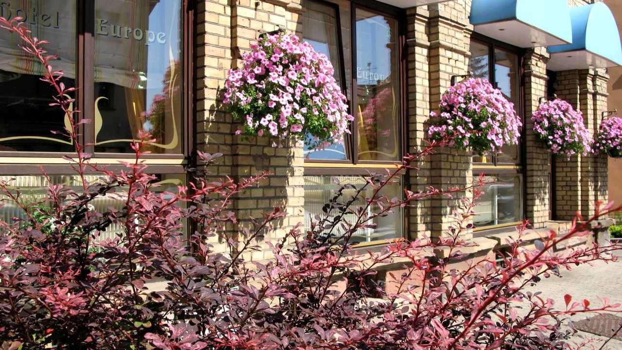 Photo of Outdoor in Saverne