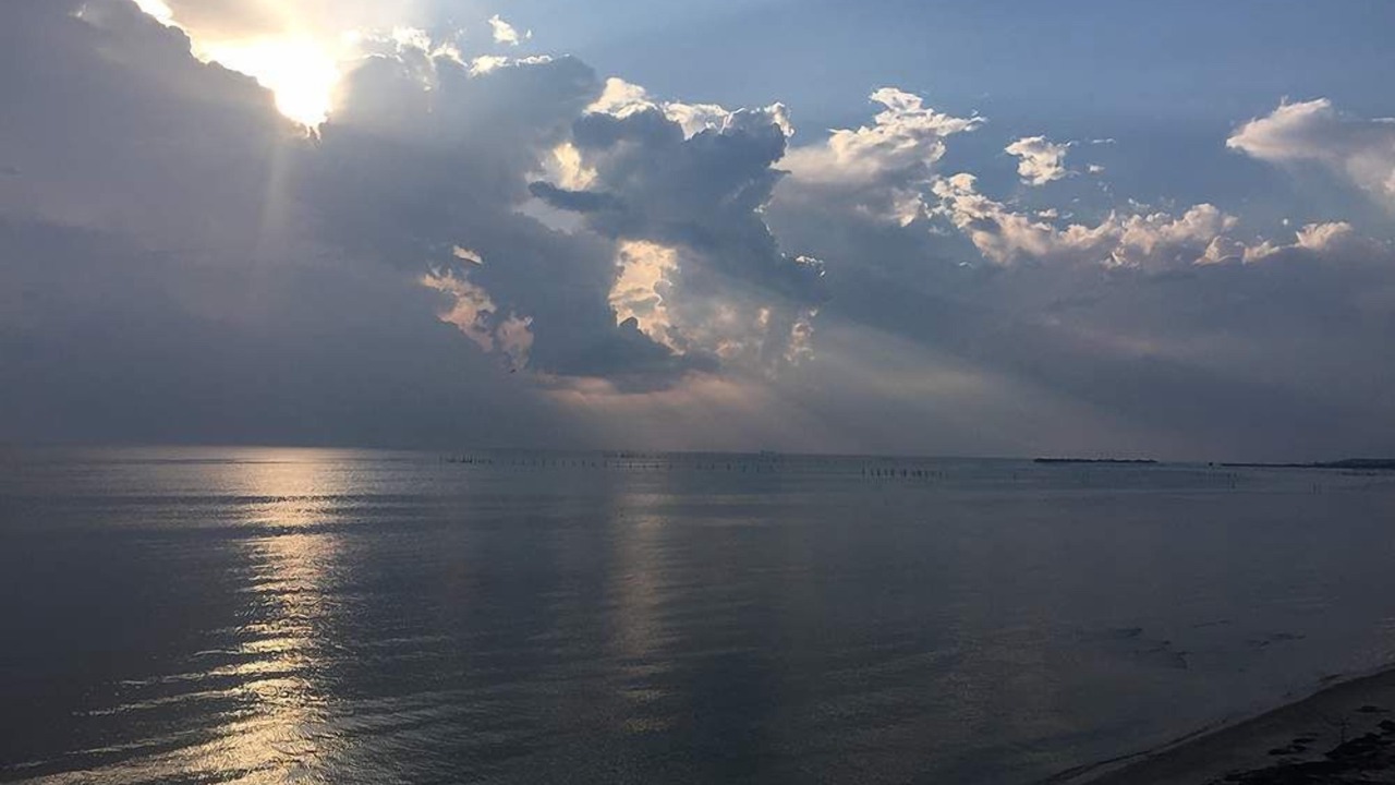 Photo of Others in Cape Charles