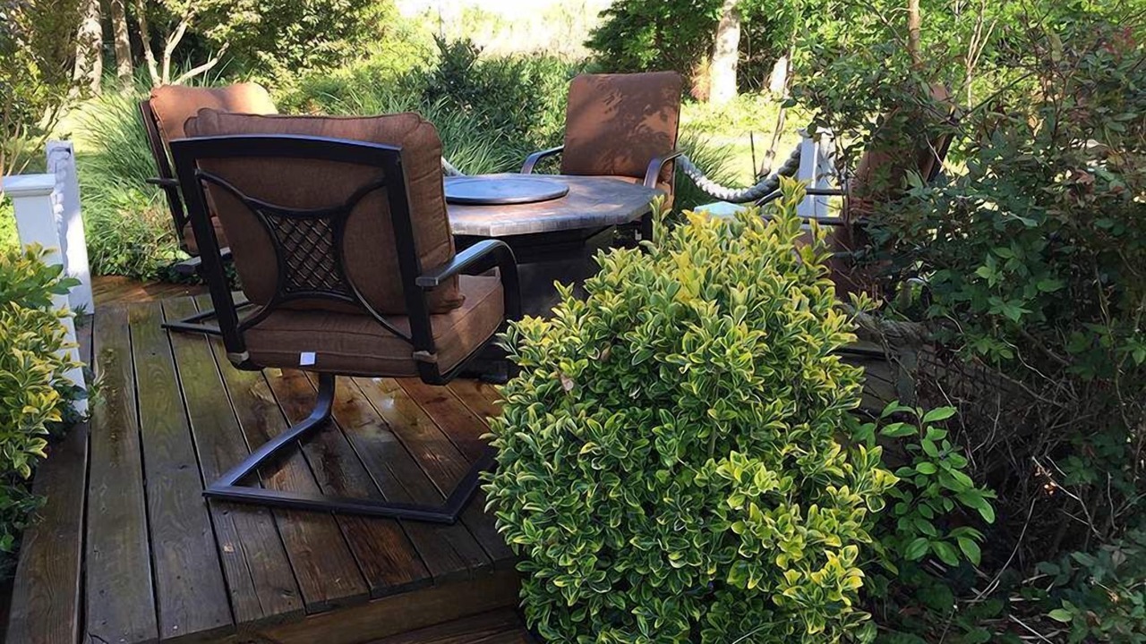 Photo of Patio Balcony in Cape Charles