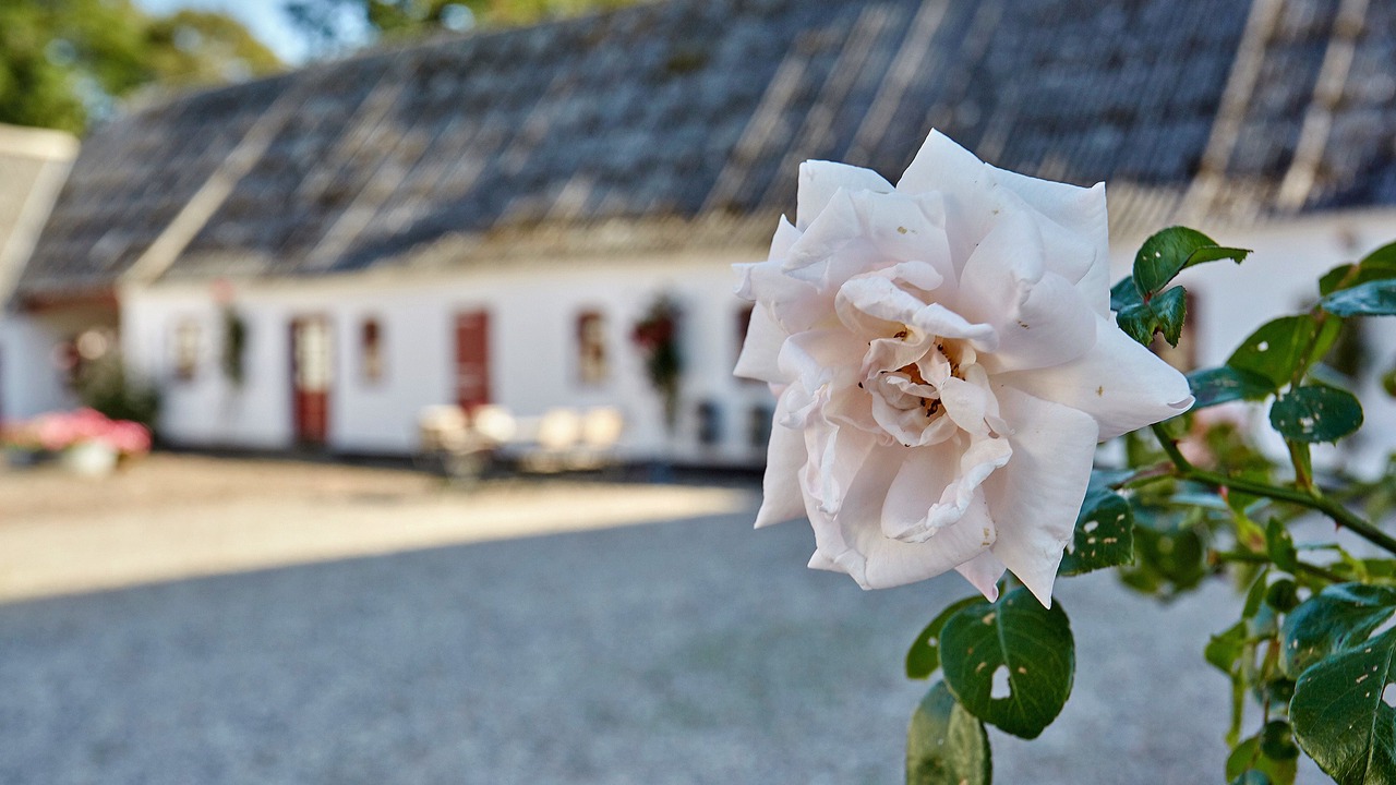 Photo of Outdoor in Nyborg