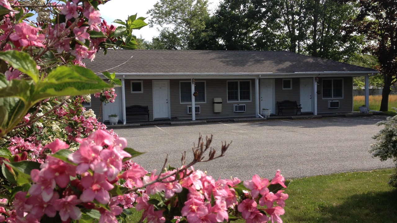 Photo of Others in Westhampton