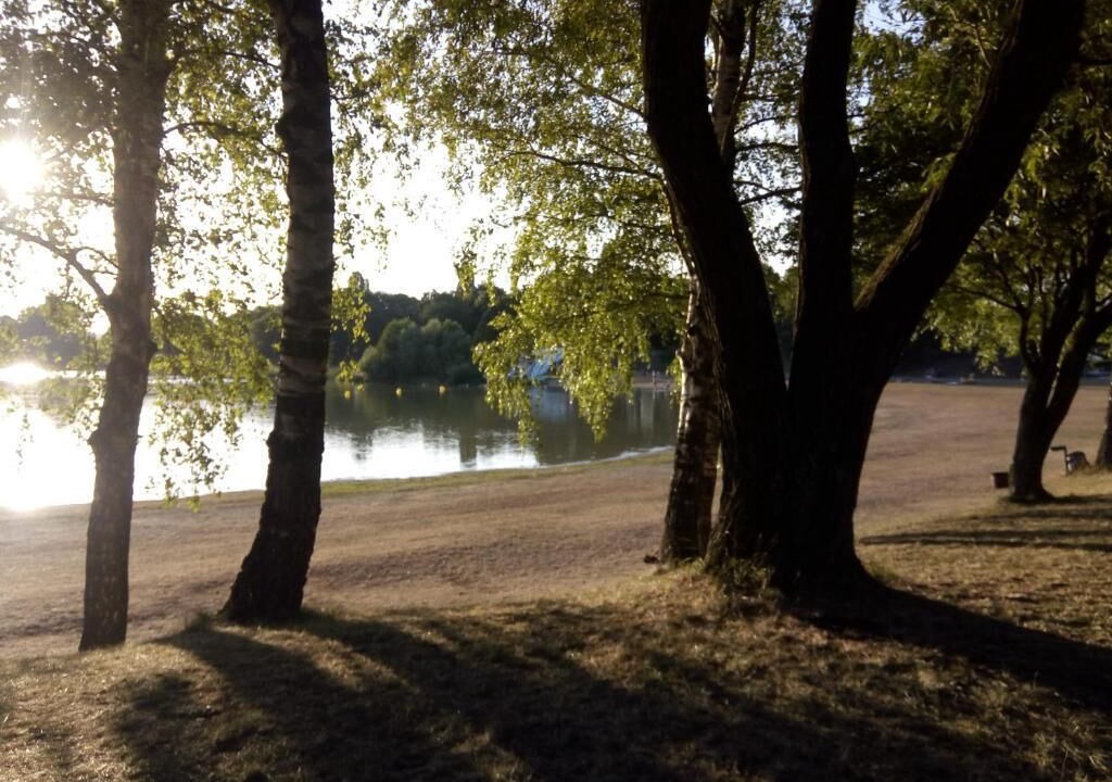 Photo of Others in Saint-Maurice-sous-les-Cotes