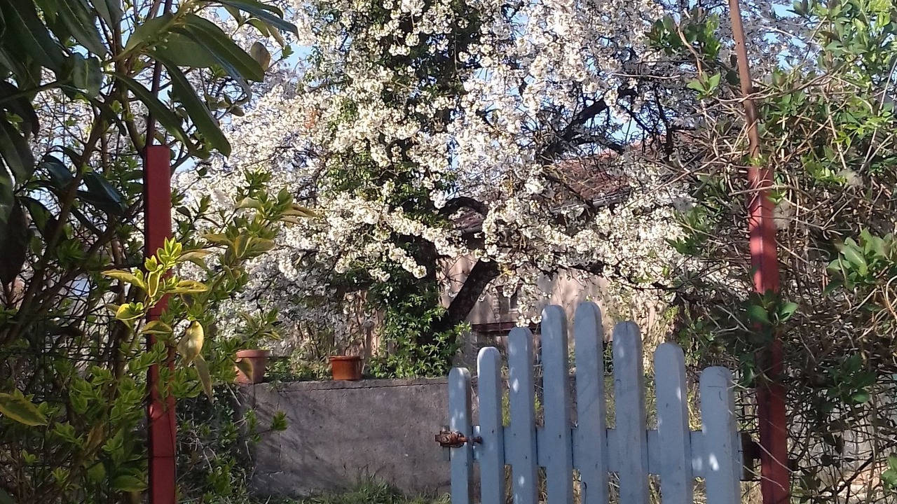 Photo of Outdoor in Saint-Maurice-sous-les-Cotes