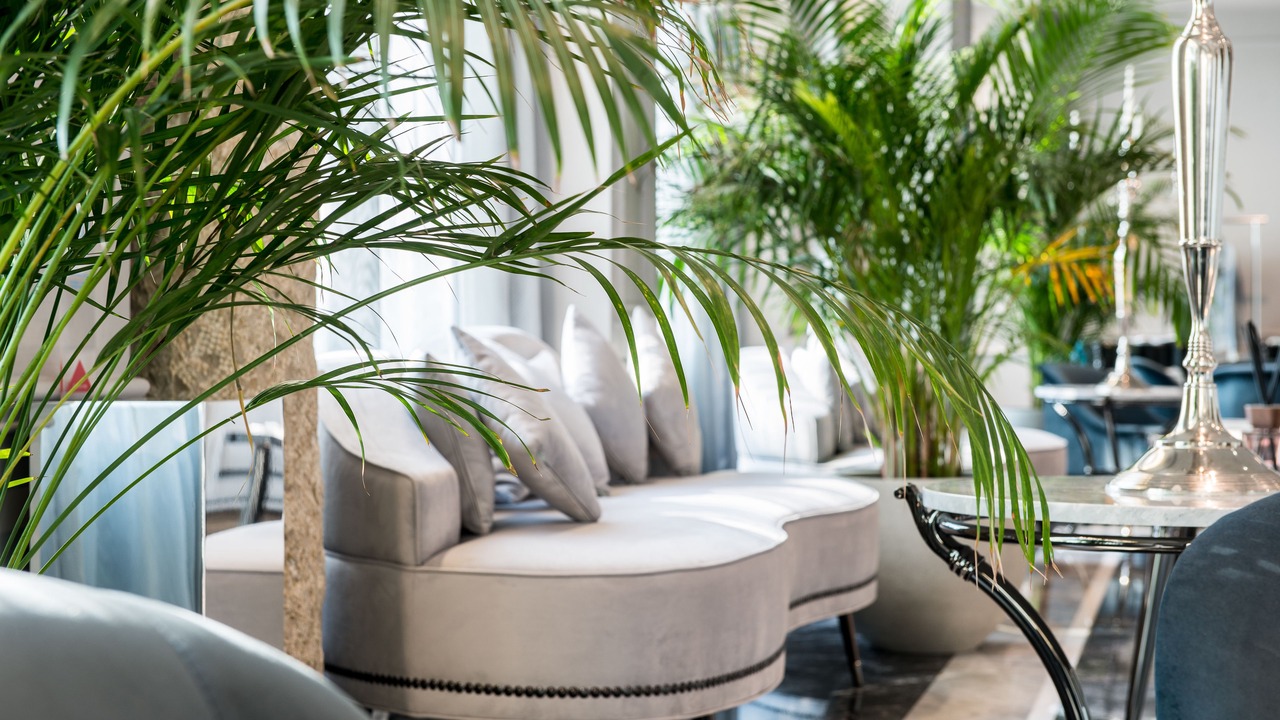 Photo of Others in Les Cordeliers