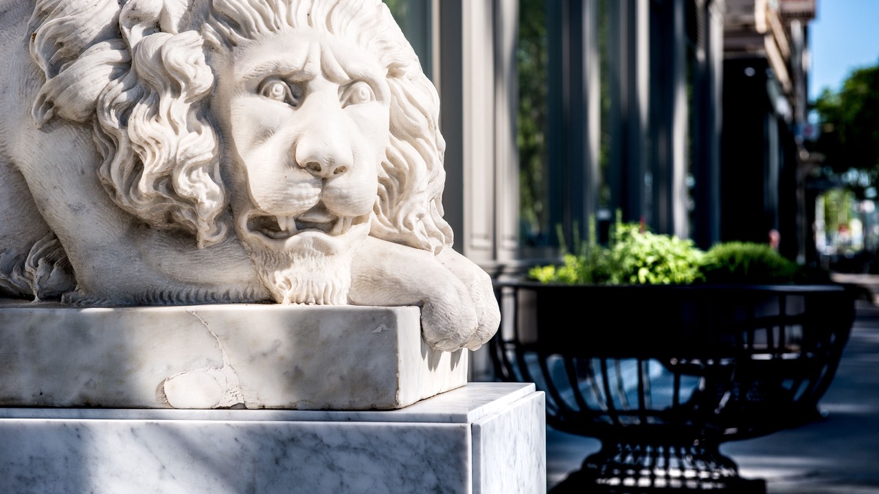 Photo of Outdoor in Les Cordeliers