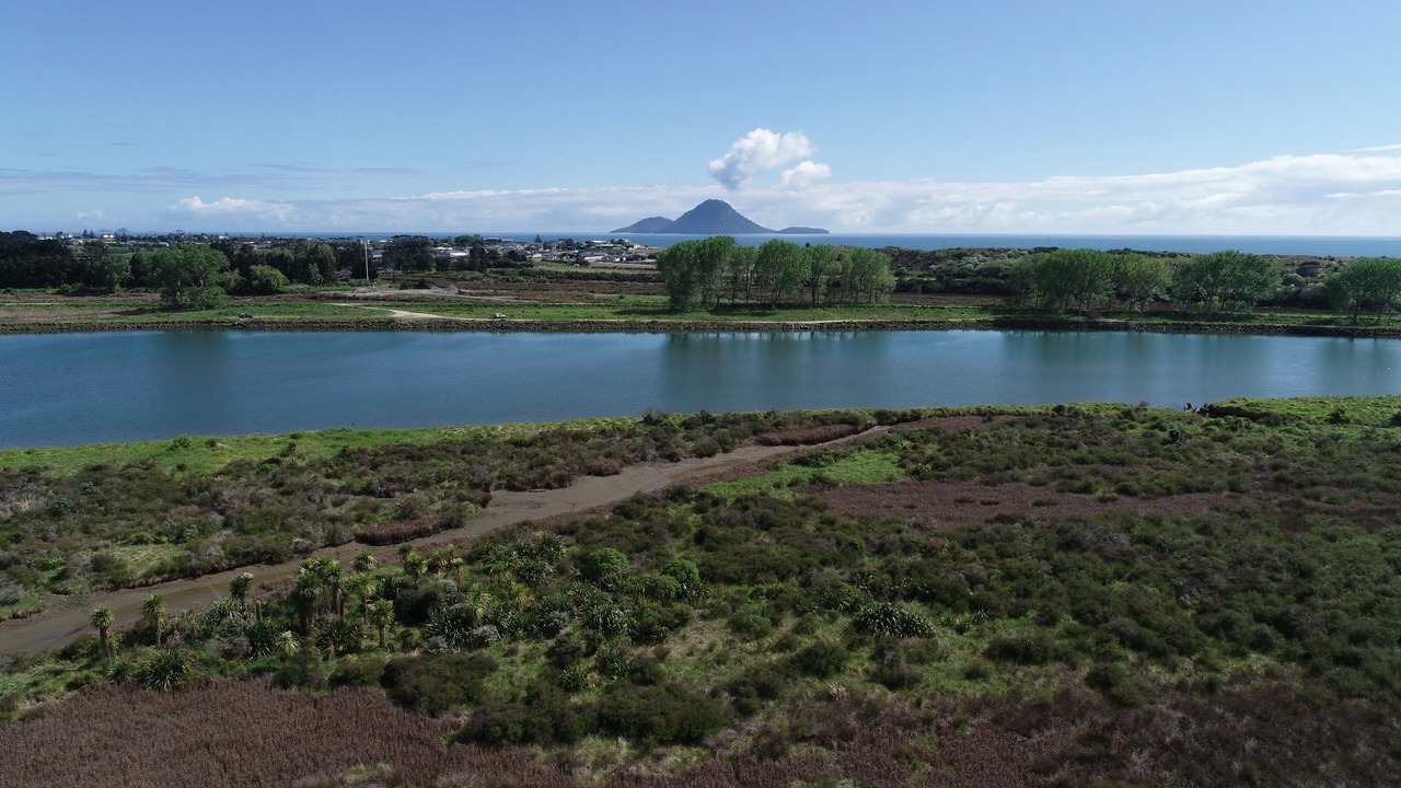 Photo of Others in Whakatane