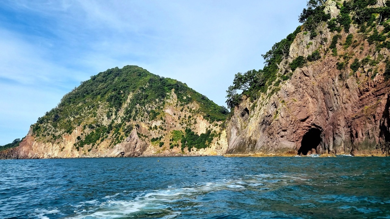 Photo of Others in Whakatane