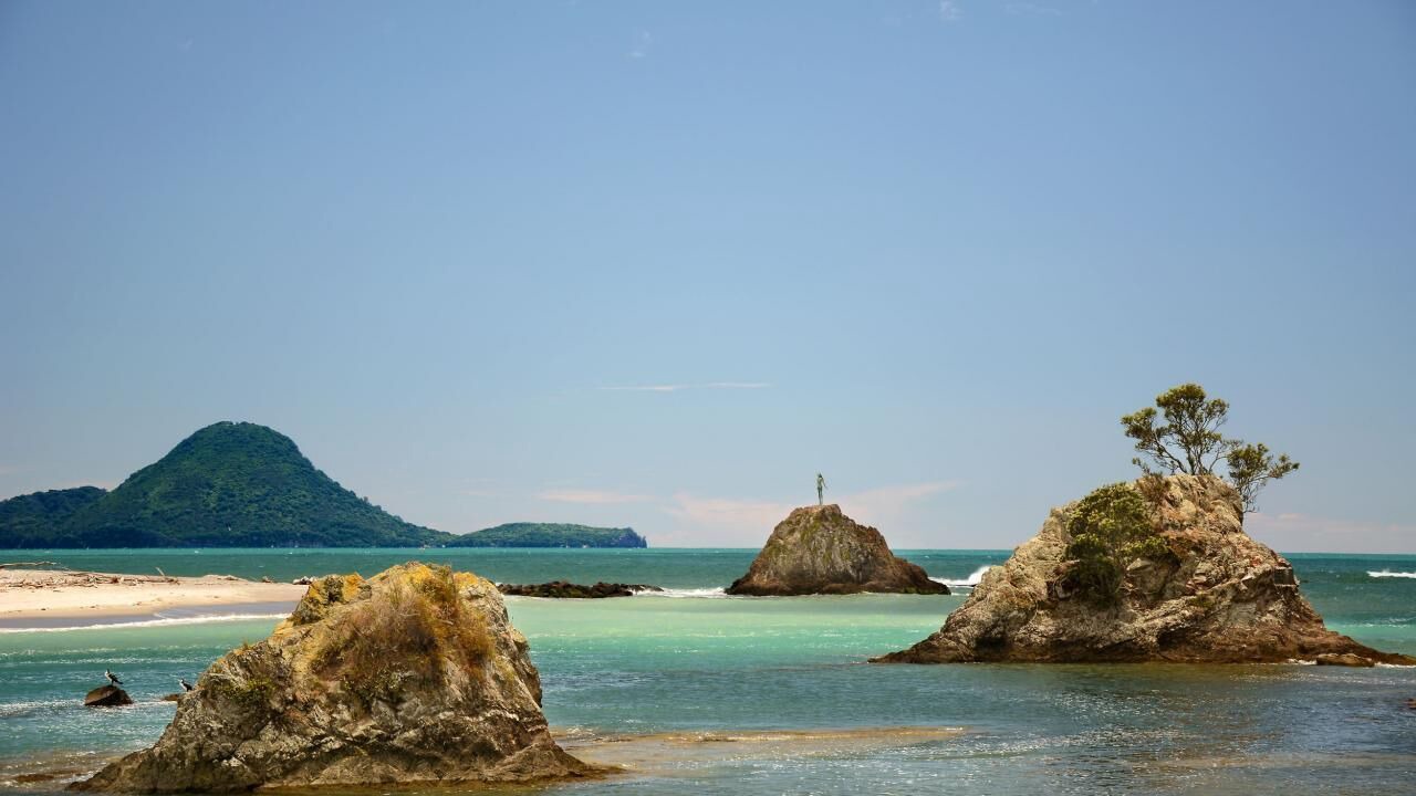 Photo of Others in Whakatane