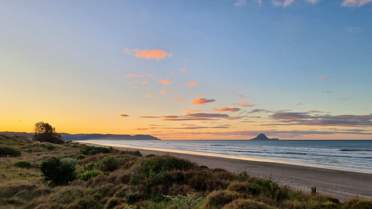 Photo of Others in Whakatane