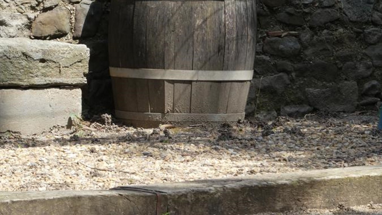 Photo of Others in Olonzac