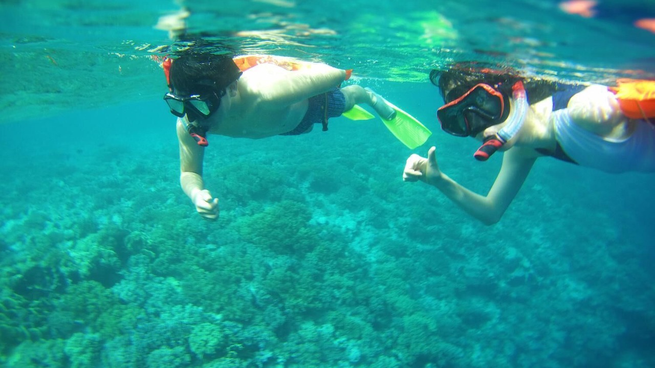 Photo of Others in Tomia Island