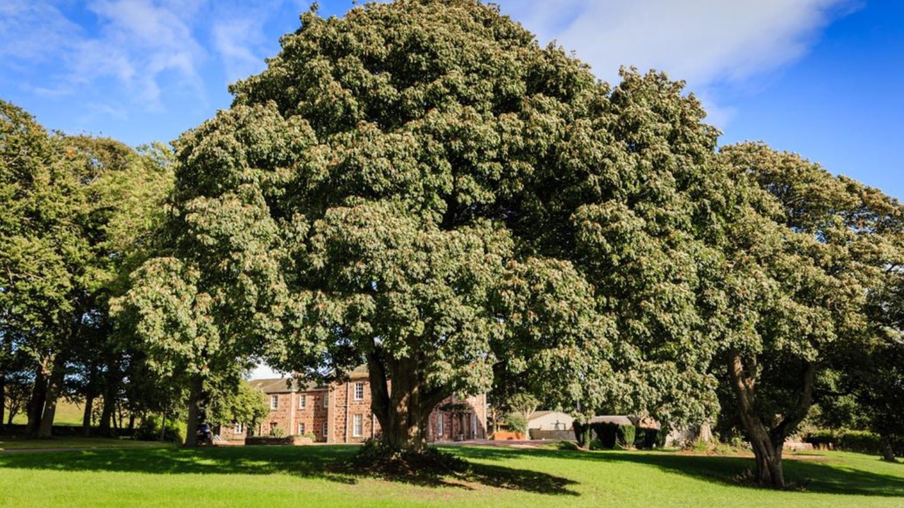 Photo of Others in Lunan