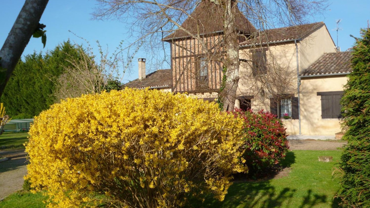Photo of Outdoor in Le Pizou