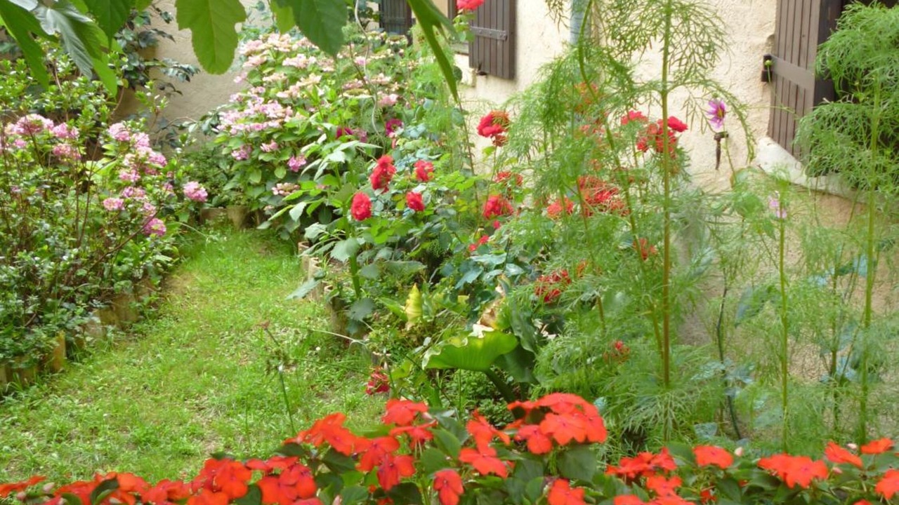 Photo of Outdoor in Le Pizou