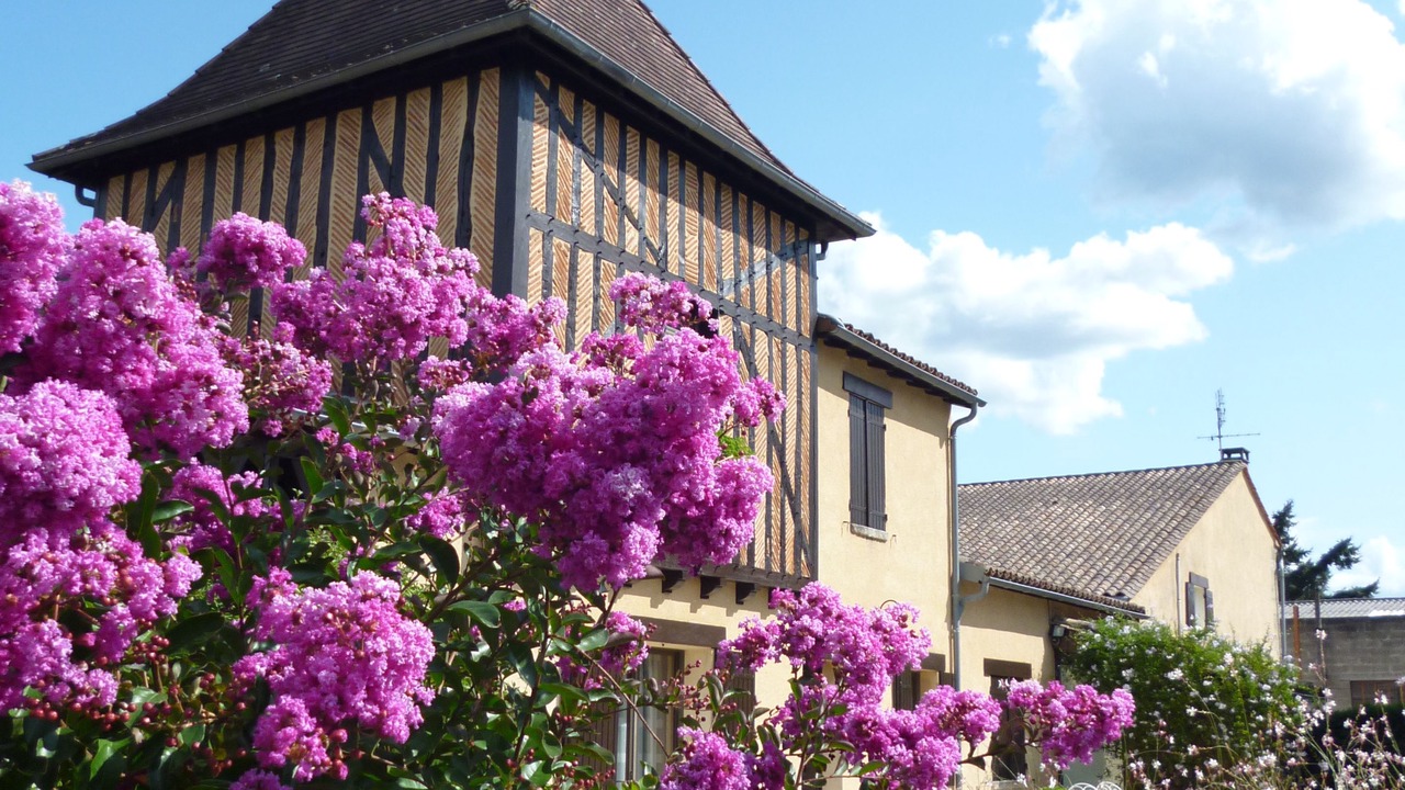 Photo of Buildings in Le Pizou