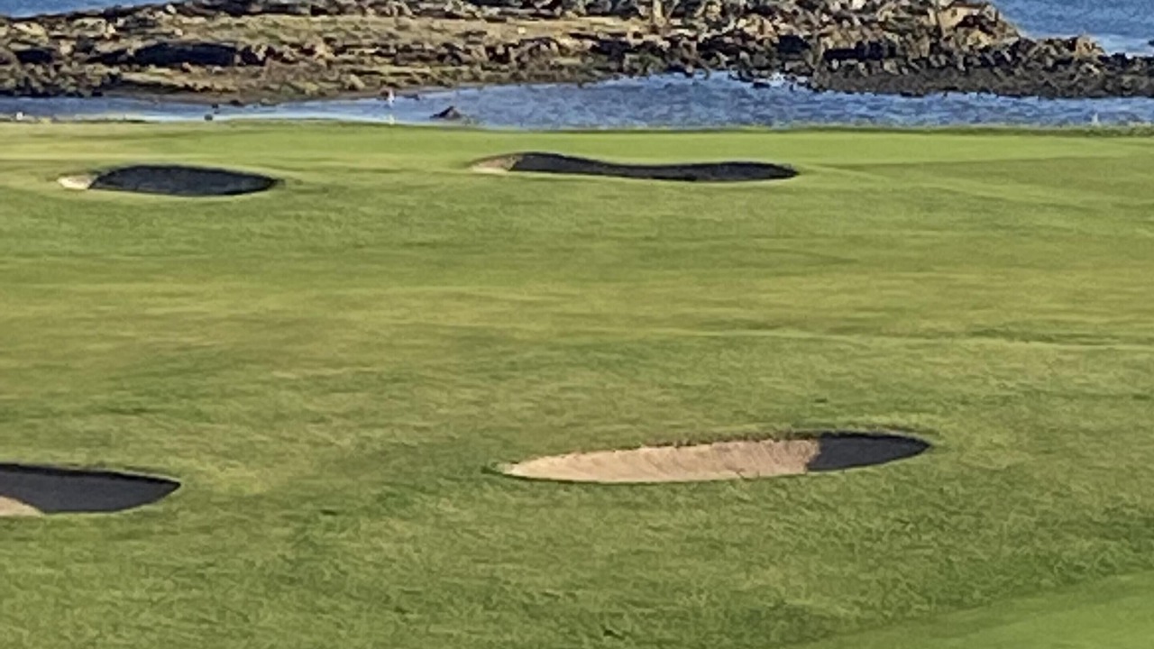 Photo of Others in Crail