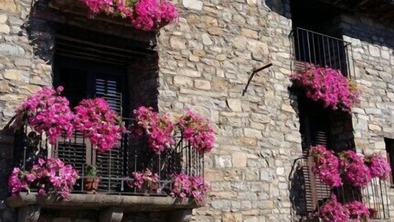 Photo of Outdoor in Laspuna
