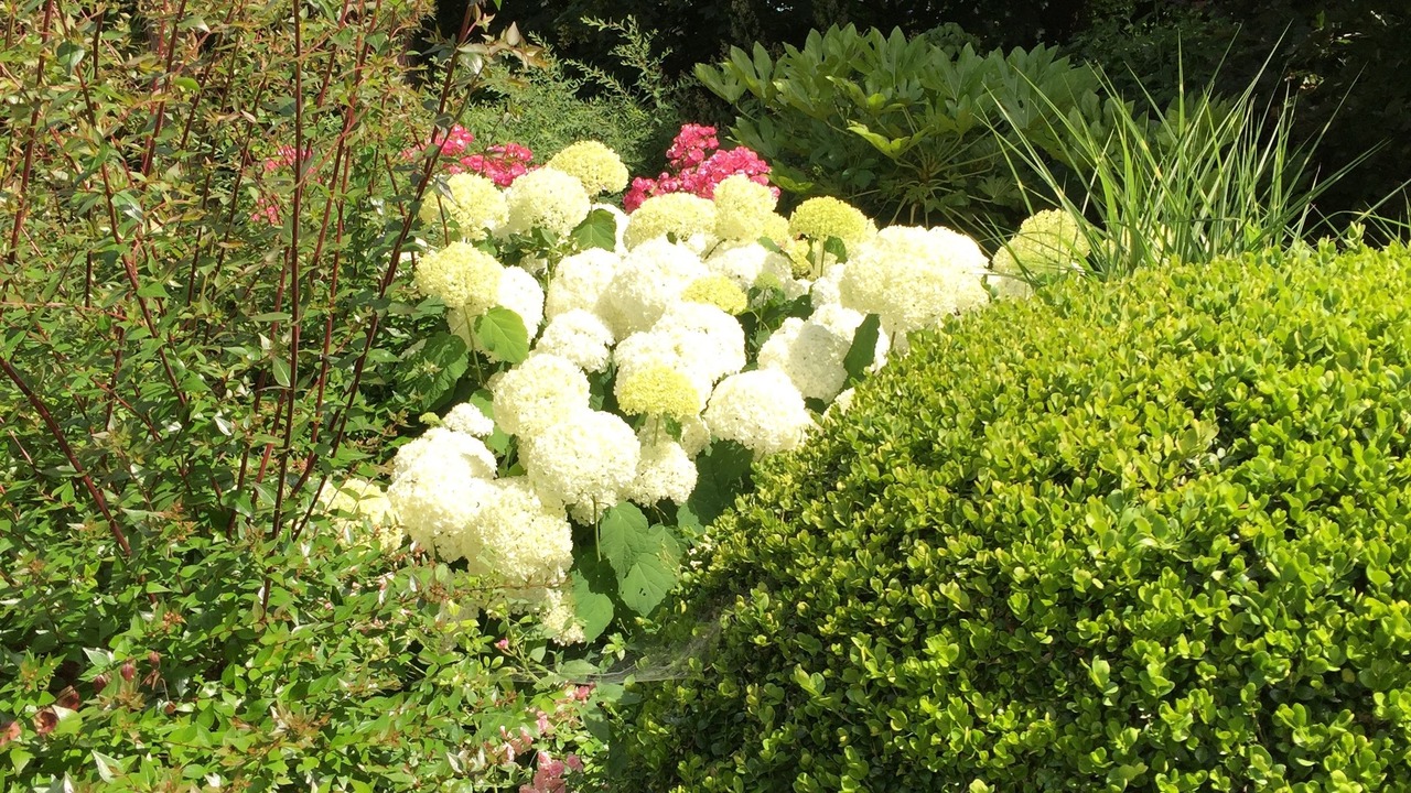 Photo of Outdoor in Chateau-Thierry