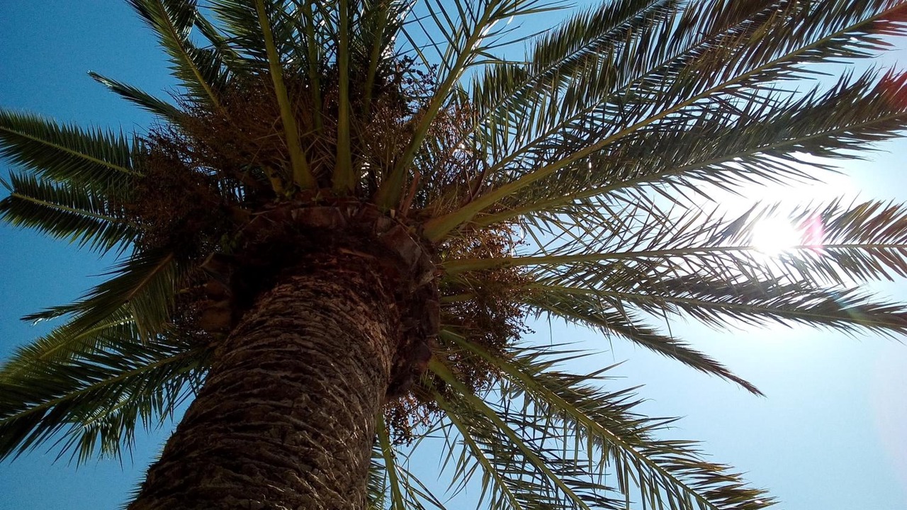 Photo of Others in Mediterranee