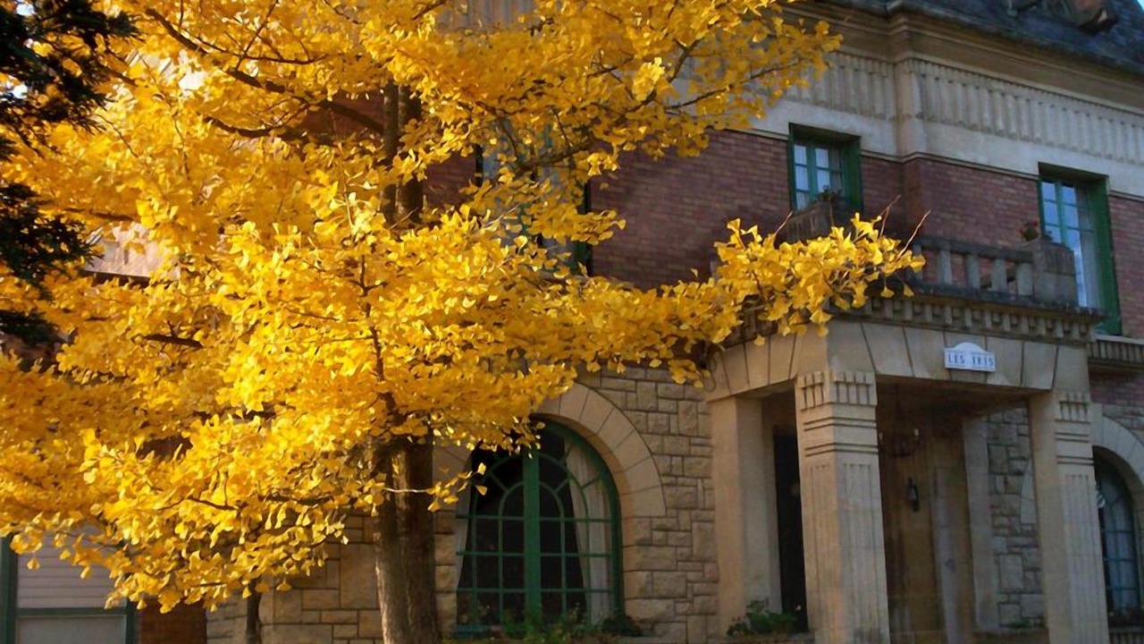 Photo of Outdoor in Saint-Felix