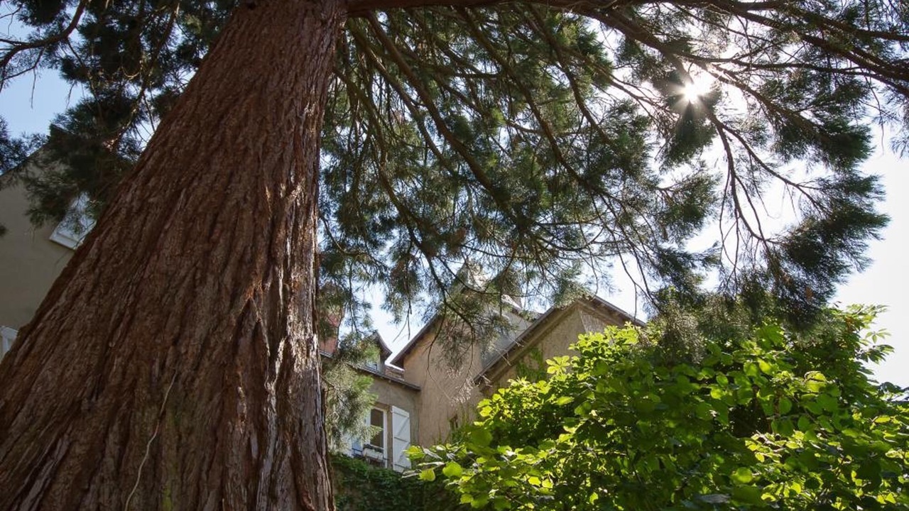 Photo of Outdoor in Chateauroux