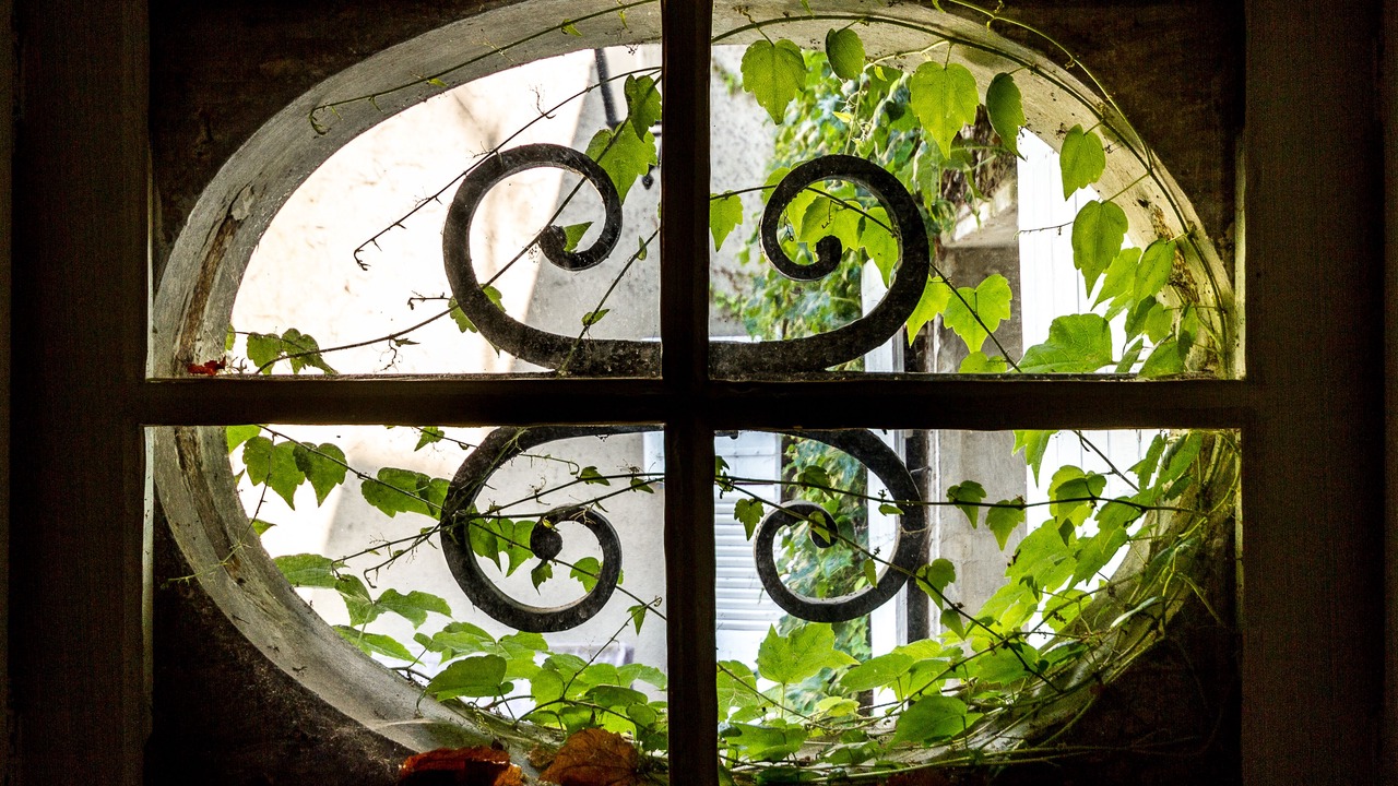 Photo of Others in Chateauroux