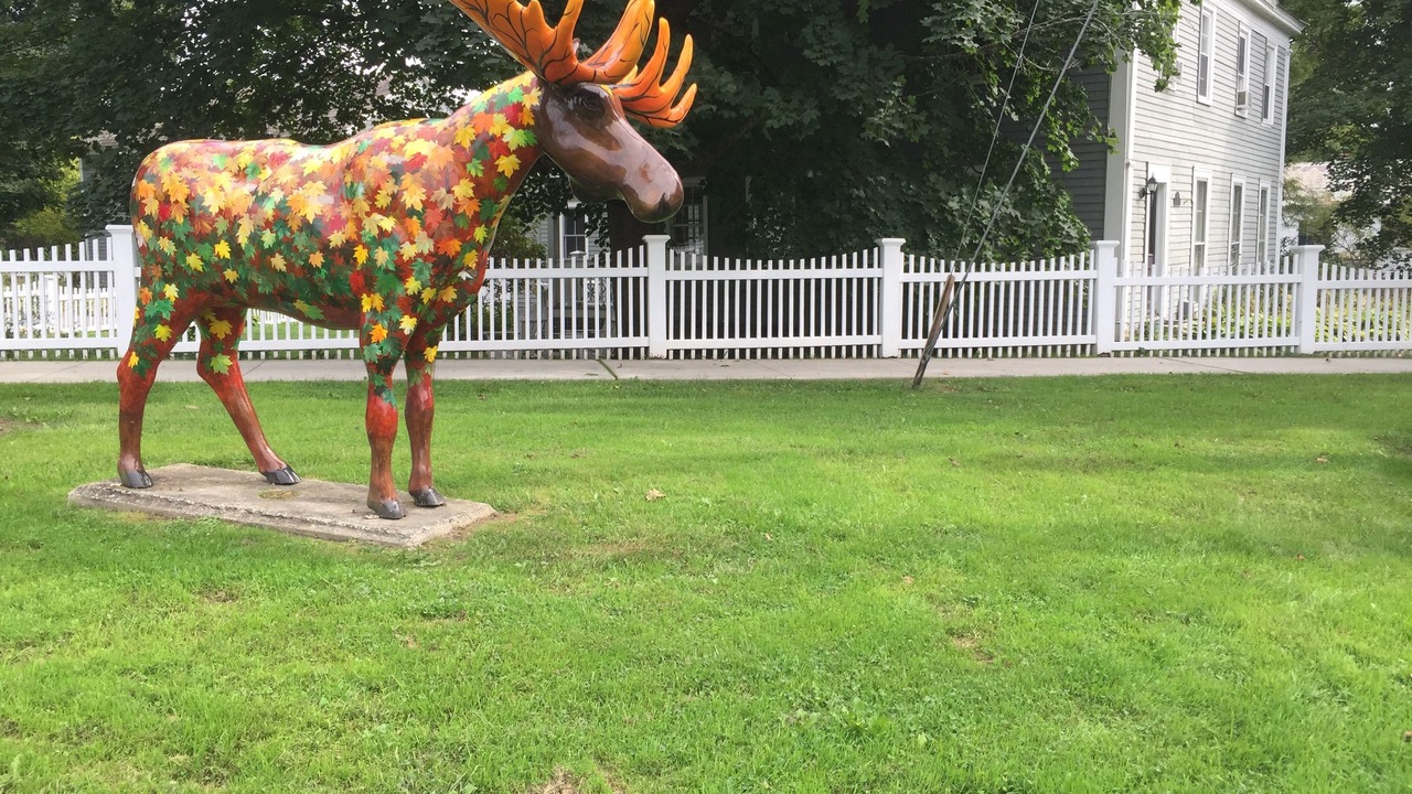 Photo of Outdoor in North Bennington Historic District