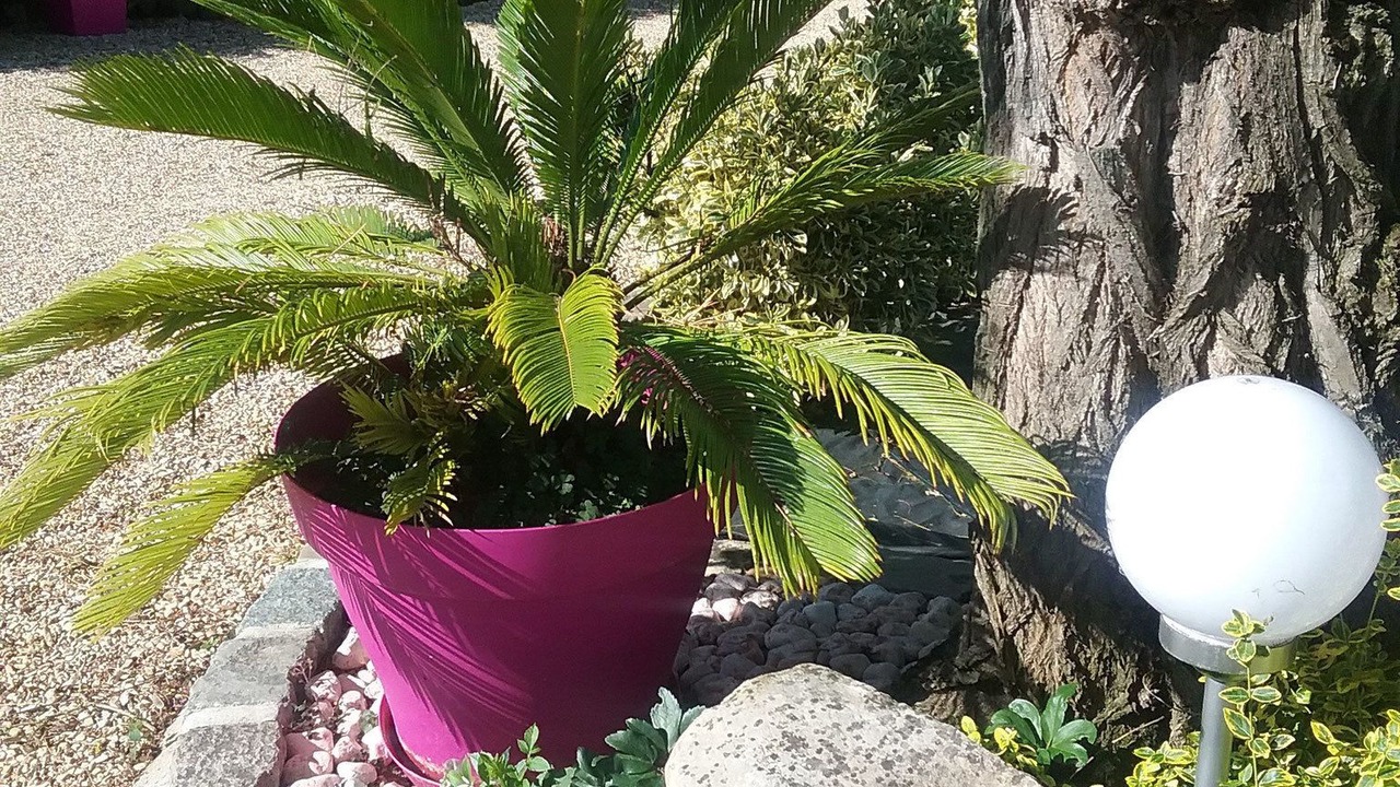 Photo of Patio Balcony in Levelay