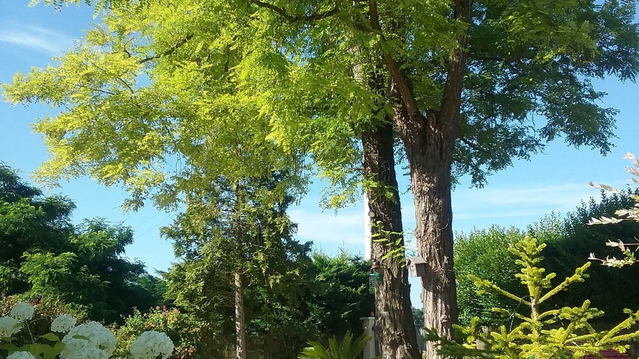 Photo of Others in Levelay