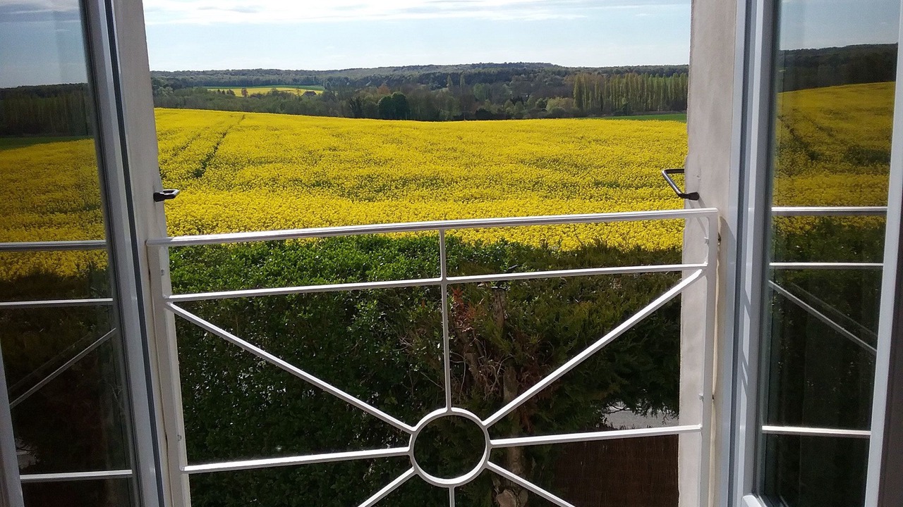 Photo of Bedroom in Levelay
