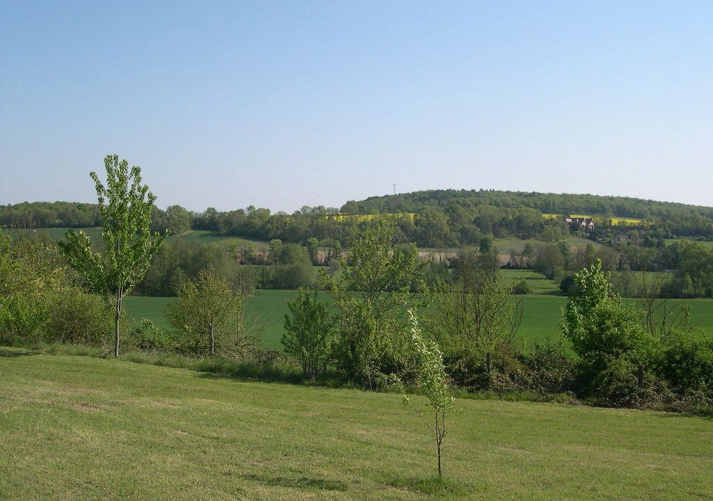 Photo of Others in Levelay