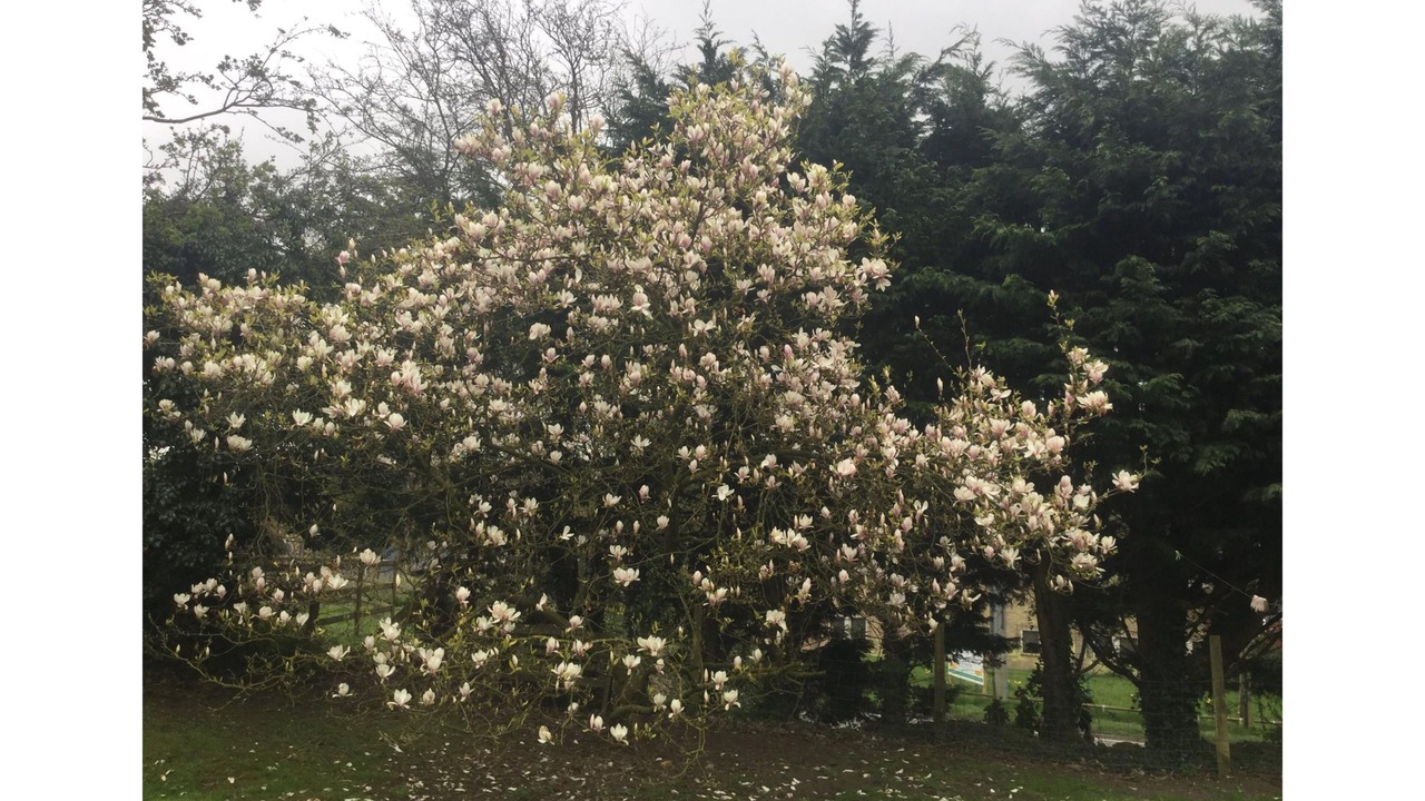 Photo of Outdoor in Bilting