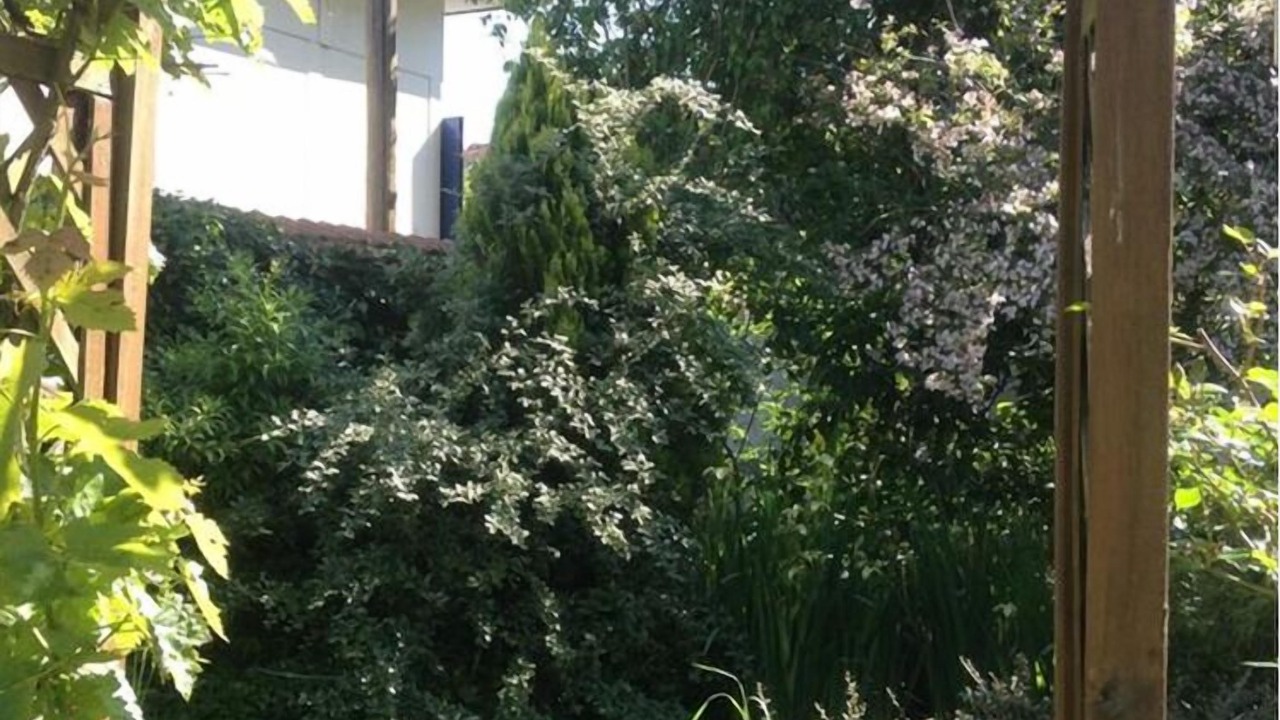 Photo of Outdoor in Verdun