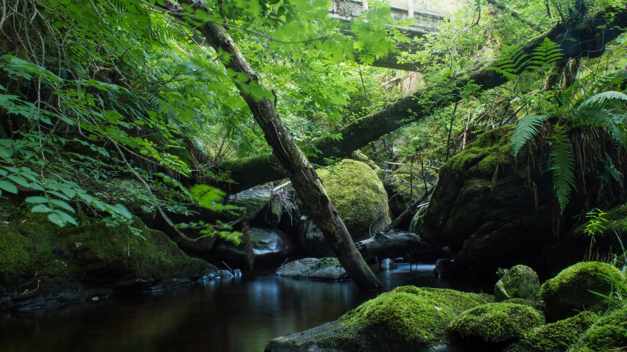 Photo of Outdoor in Strathyre