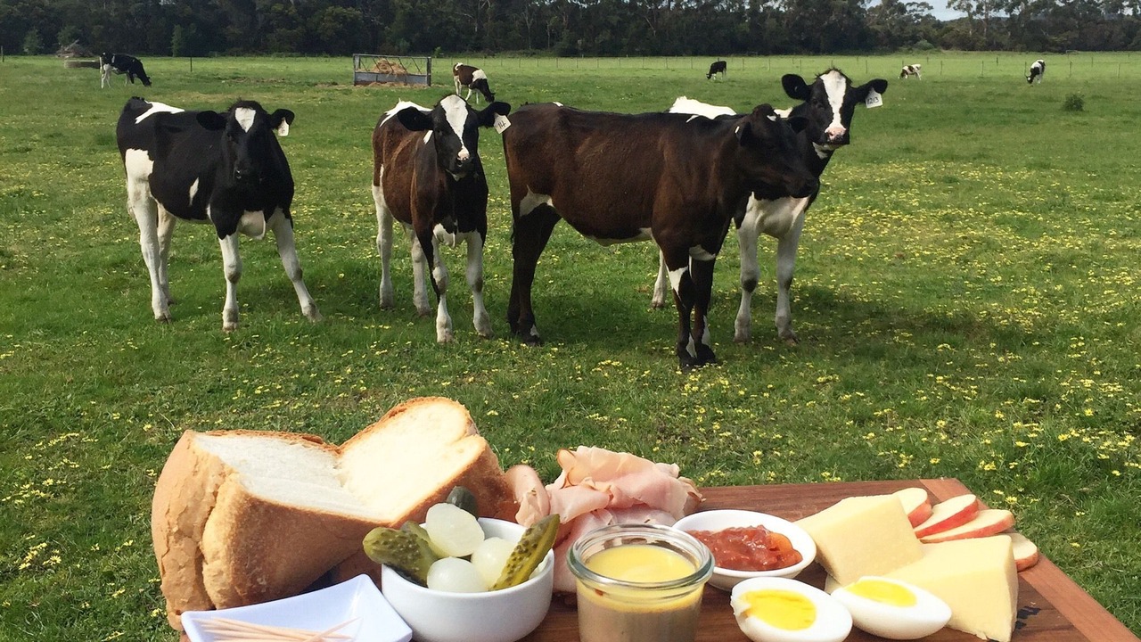 Photo of Others in Kilcunda